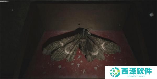 寂静岭2重制版M屋子飞蛾谜题的答案是什么