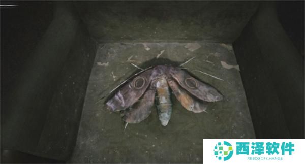 寂静岭2重制版M屋子飞蛾谜题的答案是什么