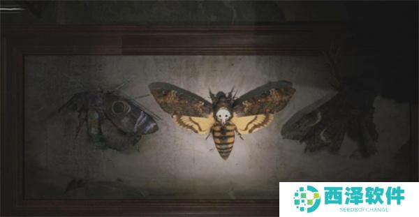 寂静岭2重制版M屋子飞蛾谜题的答案是什么