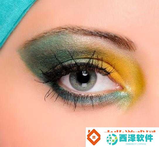 成品人、精品人哪种颜色最好看探讨