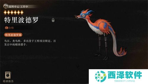 重返未来1999魔精训练手册玩法攻略详解