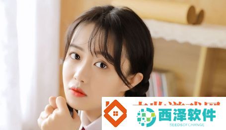 日产新mpv确定国产