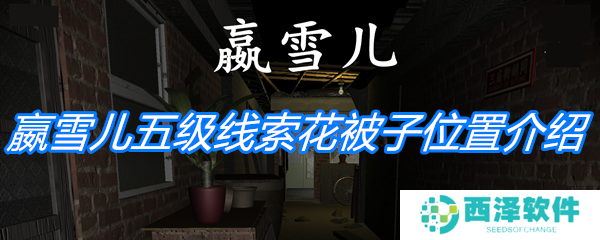 《孙美琪疑案:嬴雪儿》五级线索花被子位置介绍