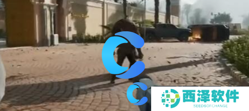 三角洲行动新手武器推荐