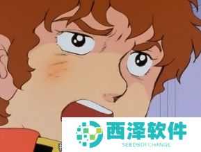 网络用语连我爸爸都没有打过我是什么梗