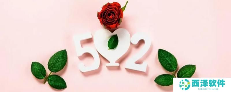 520文案简短唯美