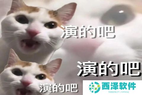 网络用语演的吧是什么梗