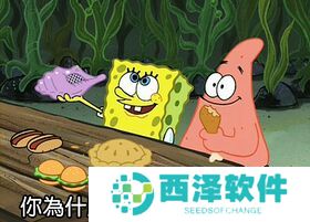 网络用语你为什么不问问神奇海螺呢是什么梗