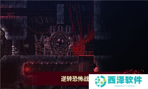 腐肉