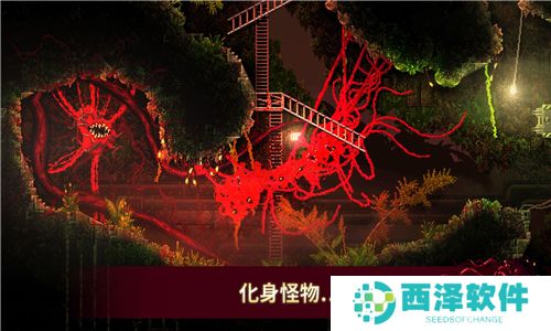 腐肉