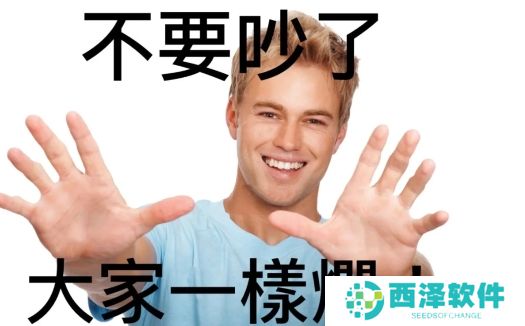 网络用语服美役是什么梗