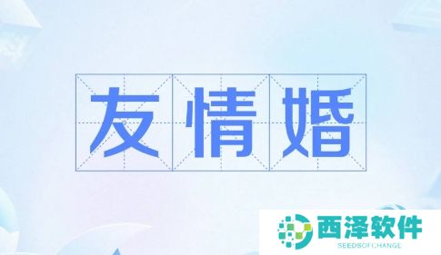 网络用语友情婚是什么梗