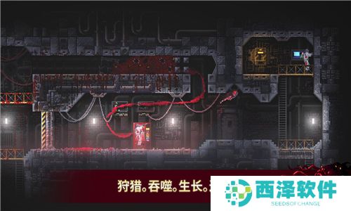 腐肉