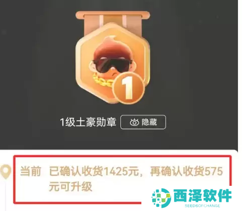 拼多多怎么看总共消费多少钱