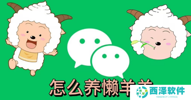 微信状态怎么养懒羊羊