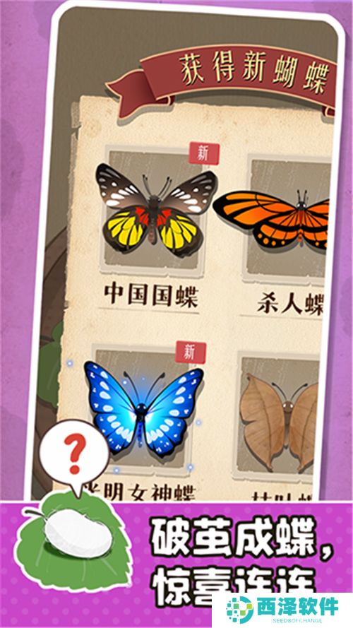 小小养蚕师下载
