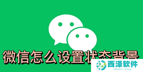 微信怎么设置状态背景