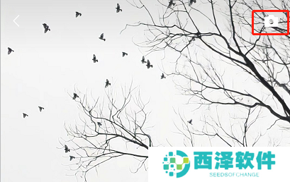 微信怎么发文字朋友圈