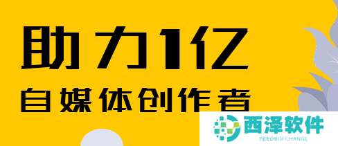 抖音账号权重查询入口最新版