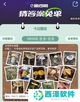 饿了么3.5免单答案