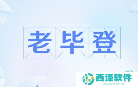 网络用语老毕登是什么梗