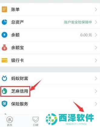 支付宝怎么申请天猫开新车