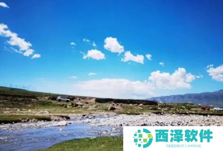 网络用语打听式旅游是什么梗