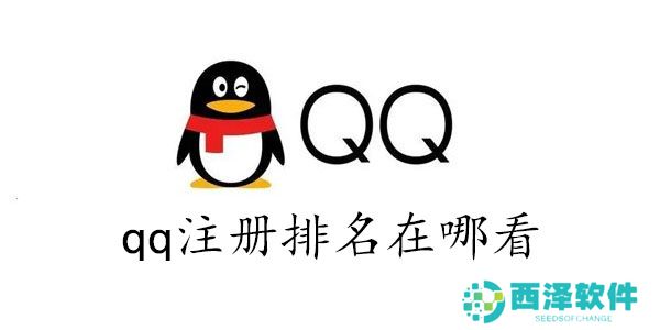 qq注册排名在哪看