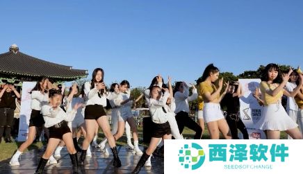 网络用语任意舞是什么梗