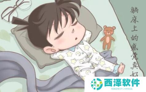 网络用语床居动物是什么梗