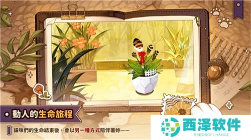 猫逝游戏