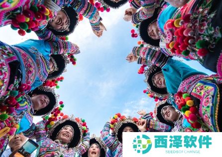 《抖音》云南打歌是什么梗