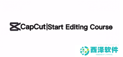 CapCut去除水印的方法