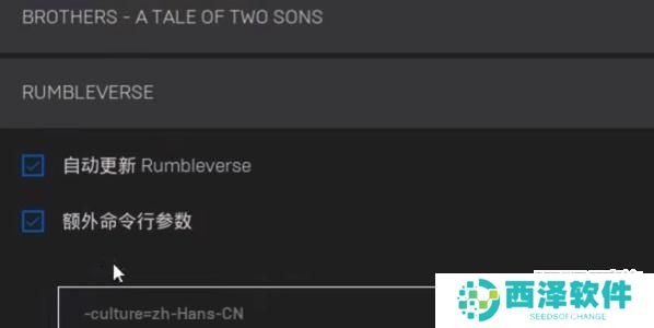 耻辱终极版怎么设置中文
