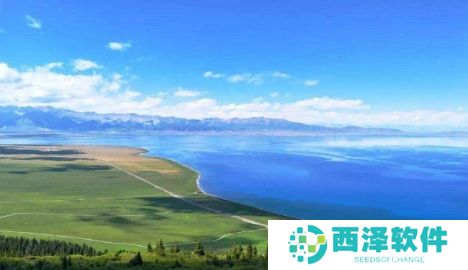 网络用语拉你去新疆是什么梗