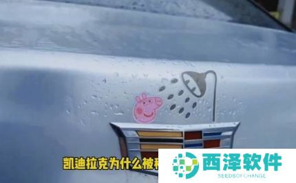 网络用语凯迪拉克洗浴王是什么梗