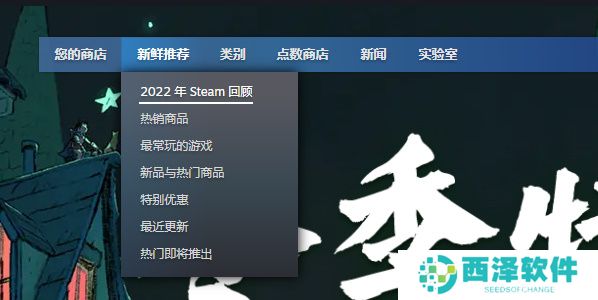 Steam年度回顾咋看2022