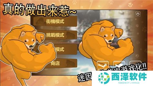 动物之战手机版