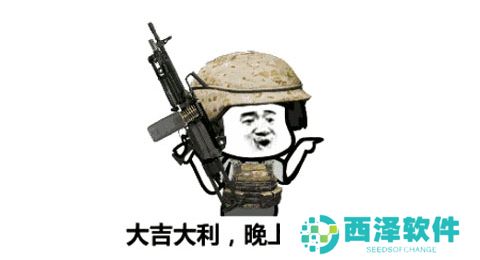 网络用语有人钢枪有人伏地是什么梗