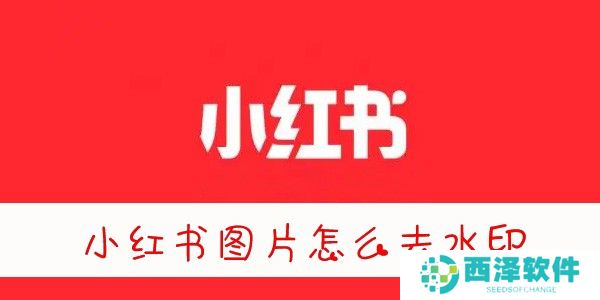 小红书图片怎么去水印