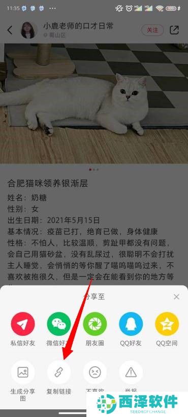 小红书图片怎么去水印