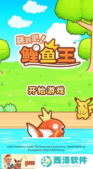 跳跃吧鲤鱼王
