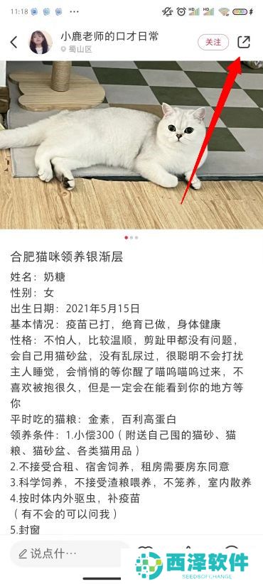 小红书图片怎么去水印