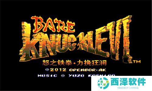怒之铁拳6