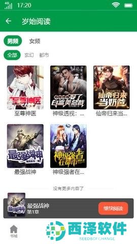 岁始阅读小说