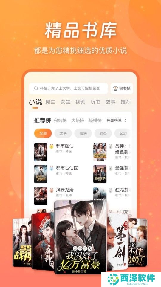 锦书小说