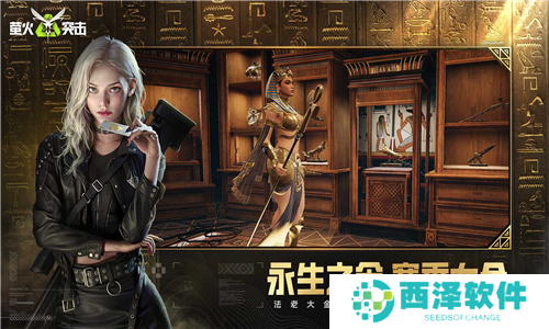 萤火突击游戏