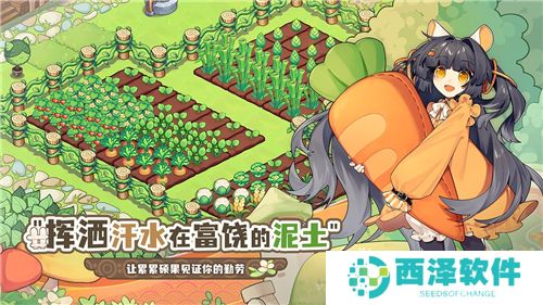 天空岛传说游戏