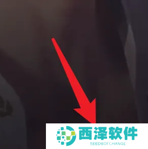 恋与深空安卓版