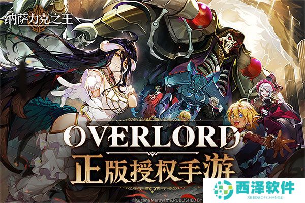 纳萨力克之王安卓版